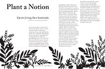 Plant a notion